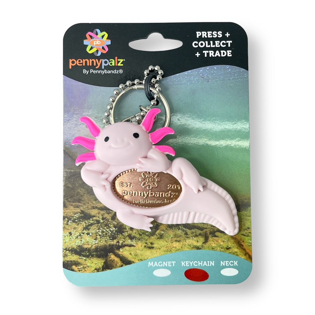 PennyPalz - Wings & Water - Keychains, Necklaces and Magnets - Order in increments of 5 only